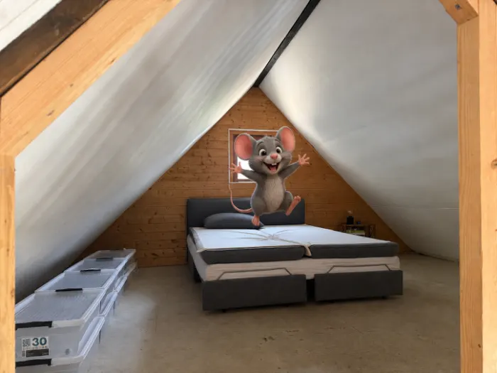 Muis die op het bed springt