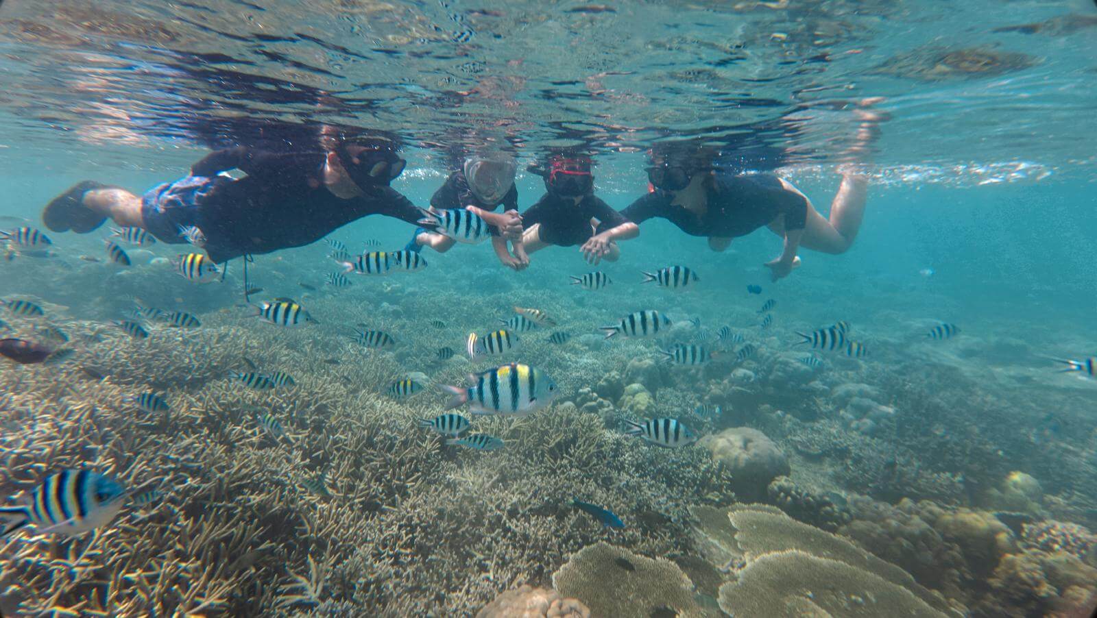 Het hele gezin samen snorkelend boven het rif